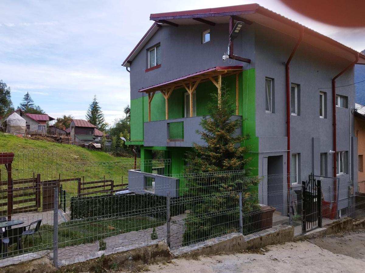 Vila Cri Cri Busteni Exterior photo